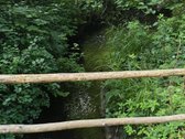 Išskirtinė Sodyba Buvusioje Sutkų Dvaro - nuotraukos Nr. 11