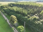 Išskirtinė Sodyba Buvusioje Sutkų Dvaro - nuotraukos Nr. 38