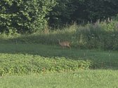 Išskirtinė Sodyba Buvusioje Sutkų Dvaro - nuotraukos Nr. 53