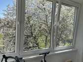 Parduodamas prieš metus pilnai ir kokybiškai - nuotraukos Nr. 11