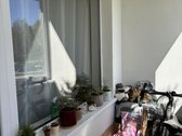 Parduodamas prieš metus pilnai ir kokybiškai - nuotraukos Nr. 13