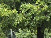 Namai, kuriuose gera gyventi - nuotraukos Nr. 27