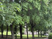 Namai, kuriuose gera gyventi - nuotraukos Nr. 34