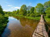 Šalia "Dubysos" upės parduodamas 3,22 ha - nuotraukos Nr. 3
