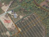 Parduodamas 1,30 ha žemės ūkio paskirties - nuotraukos Nr. 2