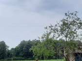 Parduodama sodyba-vienkiemis Kėdainių rajone. - nuotraukos Nr. 5