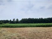 Parduodama sodyba-vienkiemis Kėdainių rajone. - nuotraukos Nr. 11