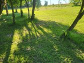 Unikali šimtametė sodyba Anykščių krašte. - nuotraukos Nr. 77
