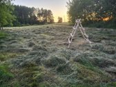 Unikali šimtametė sodyba Anykščių krašte. - nuotraukos Nr. 78