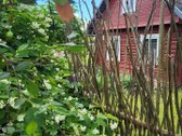 Unikali šimtametė sodyba Anykščių krašte. - nuotraukos Nr. 3