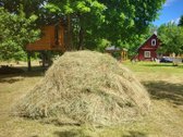 Unikali šimtametė sodyba Anykščių krašte. - nuotraukos Nr. 71