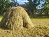 Unikali šimtametė sodyba Anykščių krašte. - nuotraukos Nr. 72