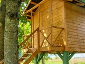 Unikali šimtametė sodyba Anykščių krašte. - nuotraukos Nr. 8