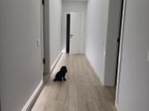 Parduodamas išskirtinis A++ klasės namas - nuotraukos Nr. 10