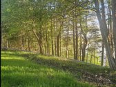 Parduodamas 1,60 ha sklypas su sodybviete ant - nuotraukos Nr. 40