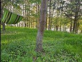 Parduodamas 1,60 ha sklypas su sodybviete ant - nuotraukos Nr. 3