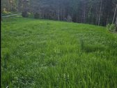 Parduodamas 1,60 ha sklypas su sodybviete ant - nuotraukos Nr. 41