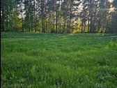 Parduodamas 1,60 ha sklypas su sodybviete ant - nuotraukos Nr. 42