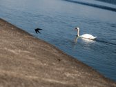 Parduodami išskirtiniai apartamentai ant - nuotraukos Nr. 11