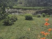 Parduodamas 6,66 a sodo sklypas SB „Vyturėlis - nuotraukos Nr. 7