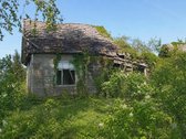 Pilvingių k. (Varėnos r.), Dzūkijos miškų - nuotraukos Nr. 3
