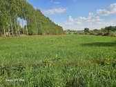 Parduodami namų valdos žemės sklypai - 3 vnt. - nuotraukos Nr. 18