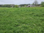 Parduodama sodyba Šakių rajone, Pervazninkų - nuotraukos Nr. 8