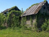 Pilvingių k. (Varėnos r.), Dzūkijos miškų - nuotraukos Nr. 3