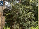 Prestižinėje Vilniaus miesto dalyje - Žvėryne - nuotraukos Nr. 9