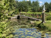 Privati 5,5 Ha Valda Su Parku, Dviem - nuotraukos Nr. 13