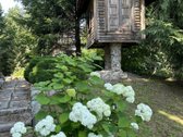 Privati 5,5 Ha Valda Su Parku, Dviem - nuotraukos Nr. 14