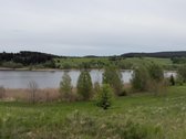 Parduodamas unikalus 6,27 ha žemės sklypas - nuotraukos Nr. 5