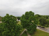 Parduodamas jaukus, pilnai įrengtas butas - nuotraukos Nr. 10