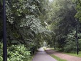 Parduodamas Šviesus 2 Kambarių Butas - nuotraukos Nr. 25
