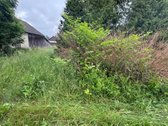 Gyvenamasis namas su žemės sklypu ir - nuotraukos Nr. 15