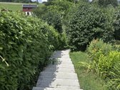 Parduodamas 6,31 a. sodo sklypas su mūriniu - nuotraukos Nr. 8