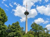 Nuomojamas jaukus ir tvarkingas 2 kambarių - nuotraukos Nr. 29
