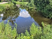 Namas įsikūręs sodų bendrijoje, ramioje - nuotraukos Nr. 8