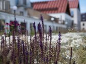 Išskirtinis mansardinis butas su vieninteliu - nuotraukos Nr. 35