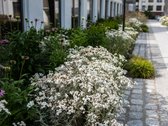 Išskirtinis mansardinis butas su vieninteliu - nuotraukos Nr. 36
