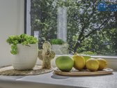 Saulės pripildyta erdvė ir ramus vaizdas pro - nuotraukos Nr. 20