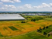 Parduodamas 82 arų sklypas, kurį galima - nuotraukos Nr. 3