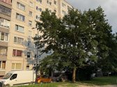Kieme vaikų darželis, krepšinio aikštelė, - nuotraukos Nr. 16
