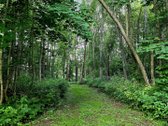Išskirtinė sodyba prie Ligajų ežero – 330 m - nuotraukos Nr. 6