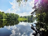 Išskirtinė sodyba prie Ligajų ežero – 330 m - nuotraukos Nr. 8