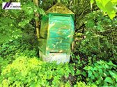 Parduodamas išskirtinis raudonų plytų - nuotraukos Nr. 12