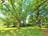 Parduodamas išskirtinis raudonų plytų - nuotraukos Nr. 11