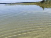 Parduodamas išskirtinis 71 arų namų valdos - nuotraukos Nr. 37