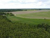 Parduodami Sklypai Su Viešintų Ežero Pakrante! - nuotraukos Nr. 6