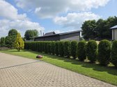 Vilniaus rajone Rudaminoje gyvenamųjų namų - nuotraukos Nr. 14